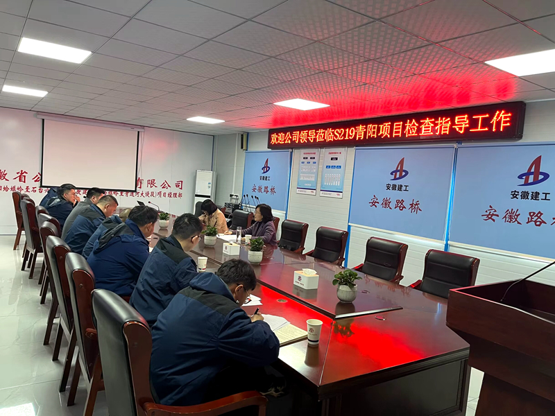 公司黨委委員、紀委書記王鵬到S219青陽改建項目調(diào)研指導(dǎo)工作